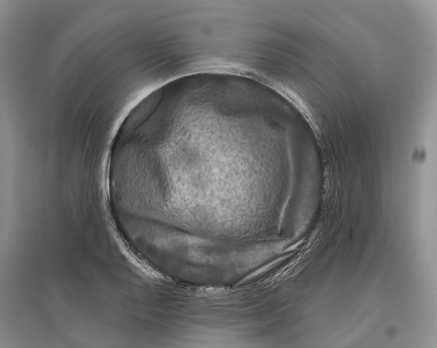 X0000096721128200802261647