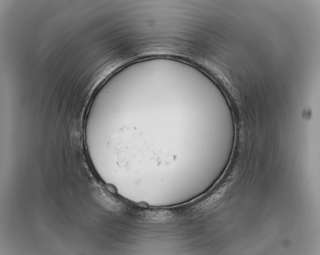 X0000096721129200802261647