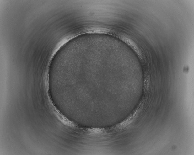 X0000096721130200802261647