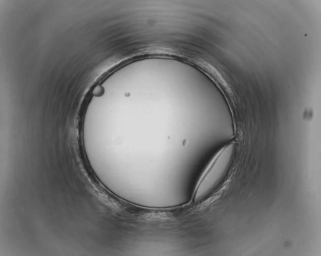 X0000096721133200802261647