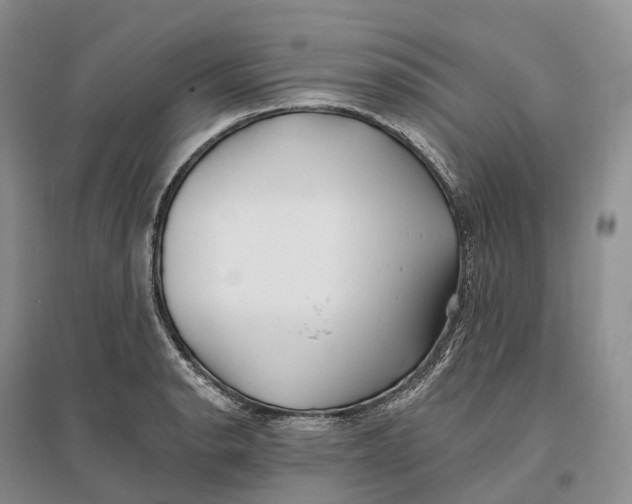 X0000096721134200802261647