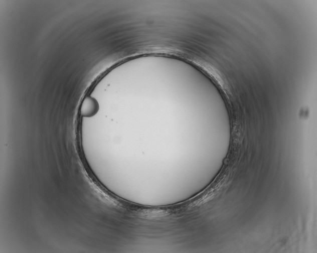 X0000096721135200802261647