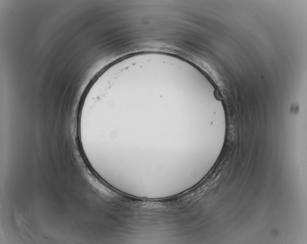 X0000096721136200802261647