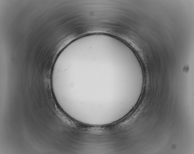 X0000096721137200802261647