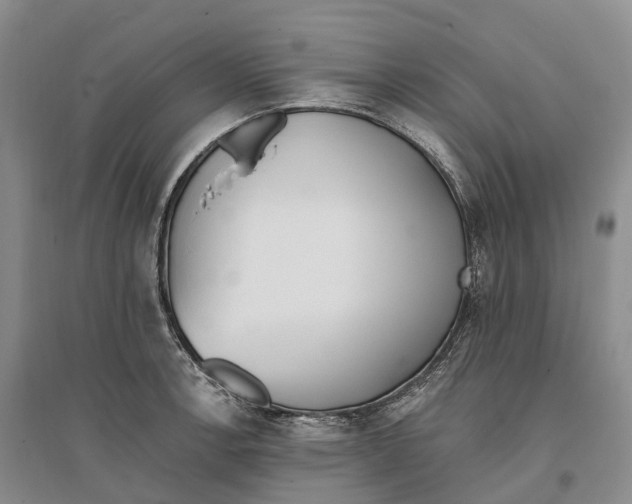 X0000096721138200802261647