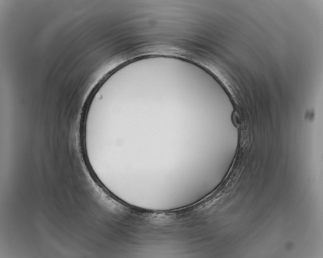 X0000096721139200802261647