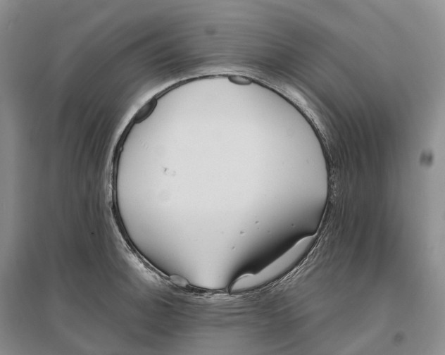 X0000096721140200802261647