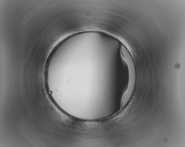 X0000096721142200802261647