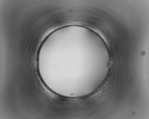 X0000096721143200802261647