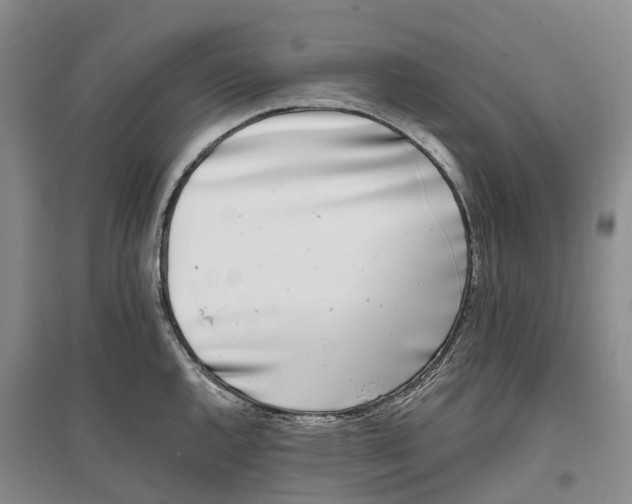 X0000096721144200802261647