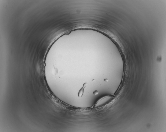 X0000096721145200802261647