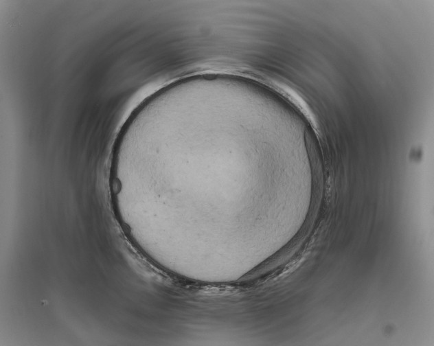 X0000096721146200802261647