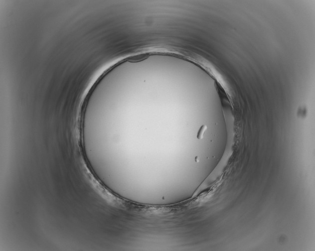 X0000096721148200802261647