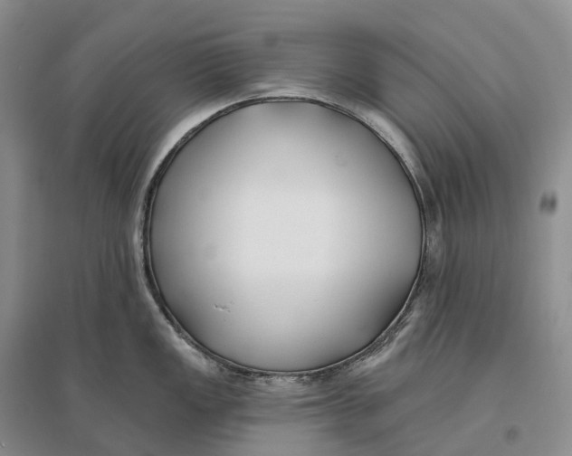 X0000096721149200802261647