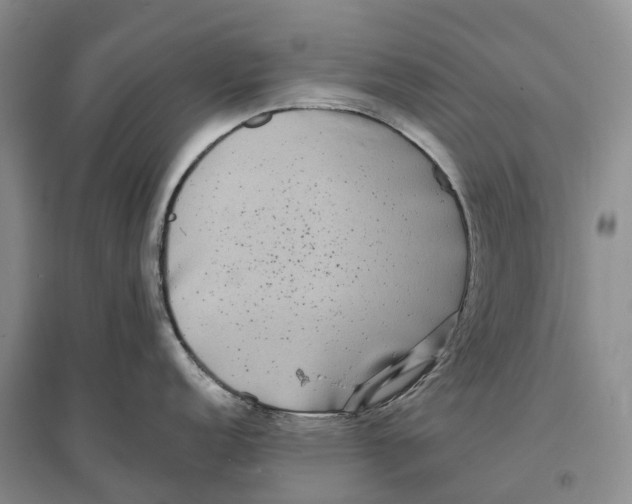 X0000096721152200802261647