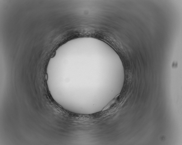 X0000096721153200802261646