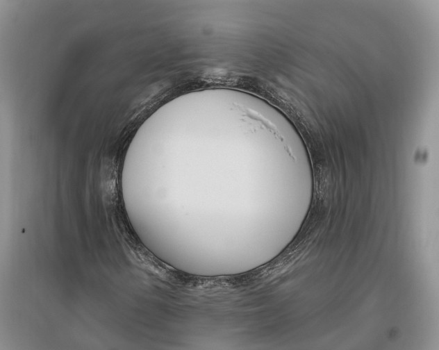 X0000096721154200802261646