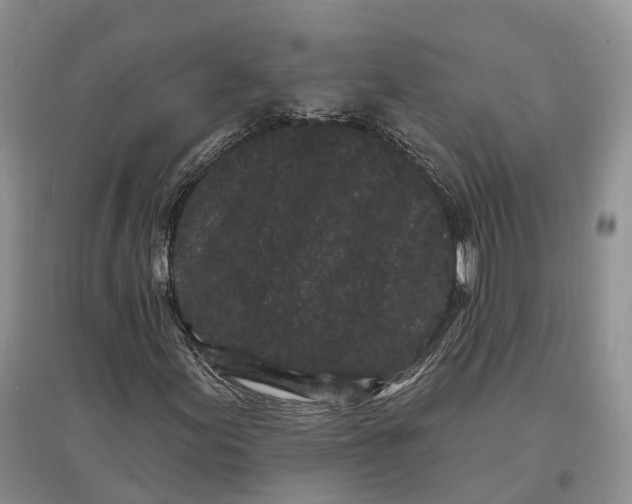 X0000096721155200802261646