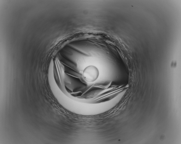 X0000096721157200802261646