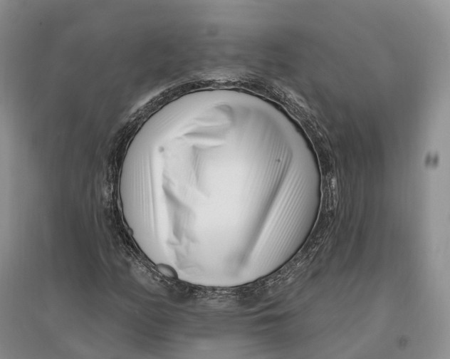 X0000096721158200802261646