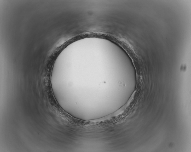 X0000096721159200802261646