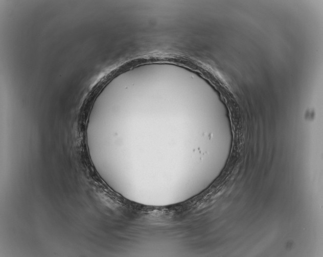 X0000096721160200802261646