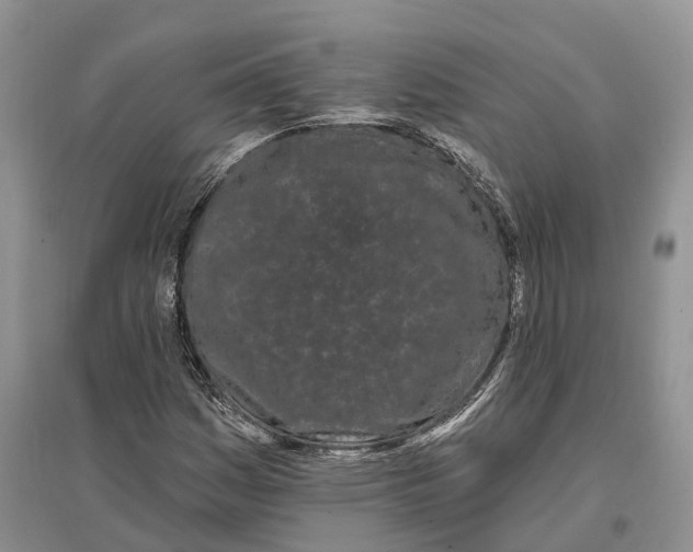 X0000096721161200802261646