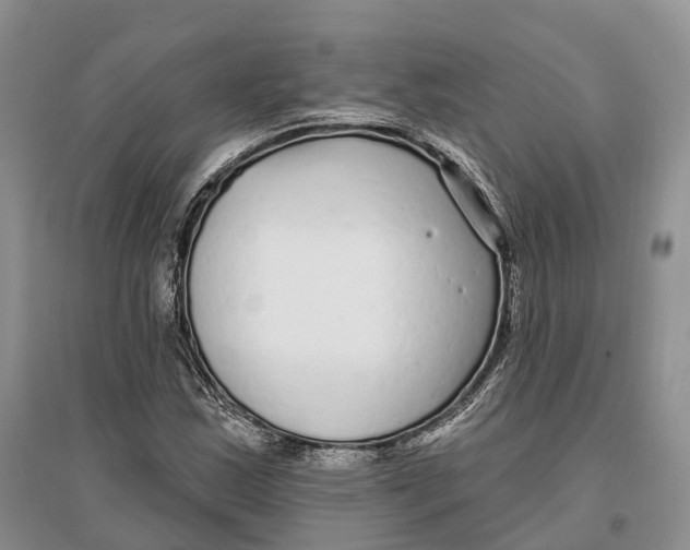 X0000096721163200802261646