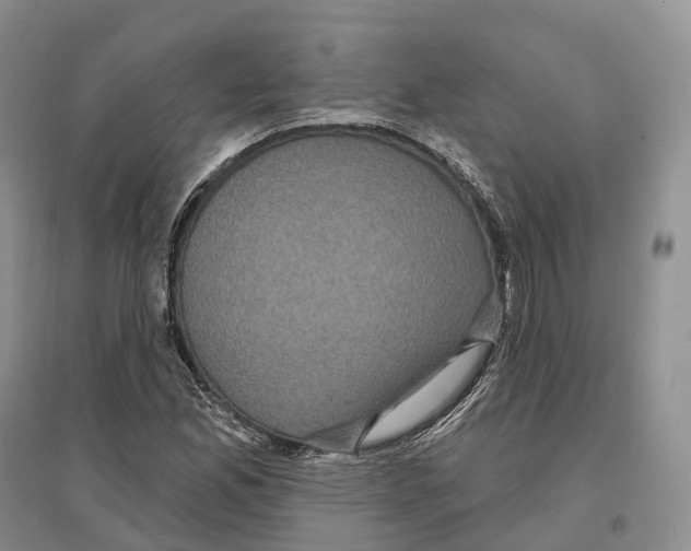 X0000096721165200802261646