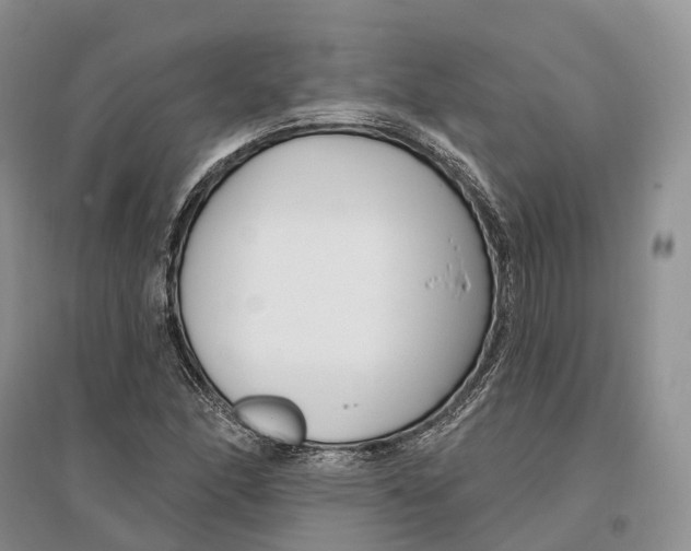 X0000096721166200802261646