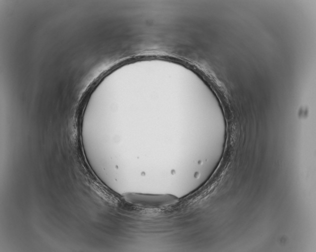 X0000096721167200802261646