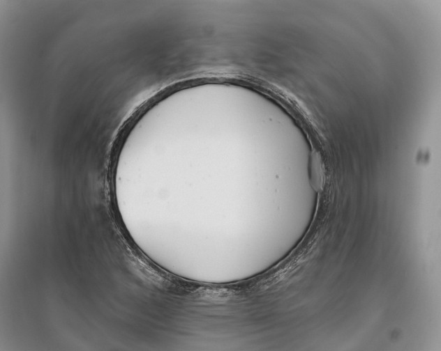 X0000096721168200802261646