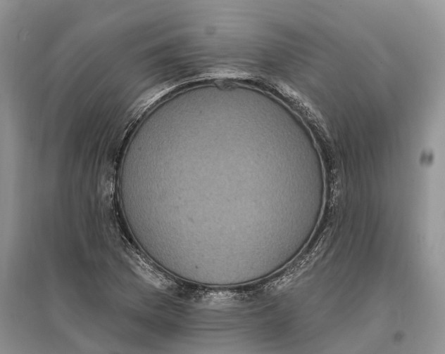 X0000096721169200802261646