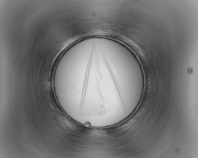 X0000096721170200802261646