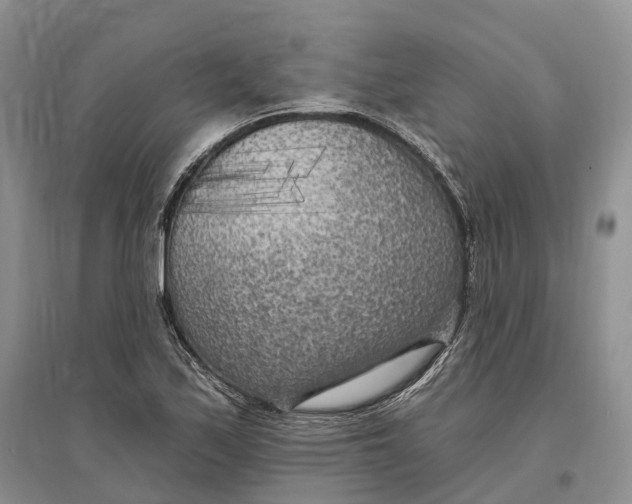 X0000096721171200802261646