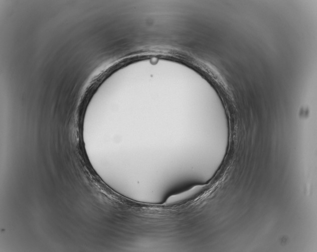 X0000096721172200802261646