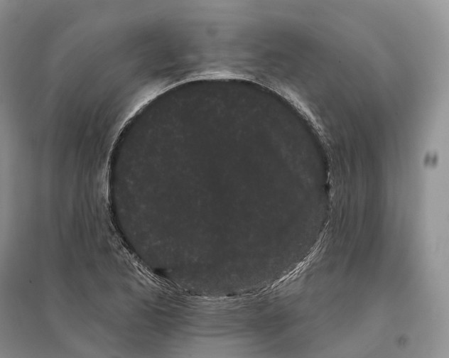 X0000096721173200802261646