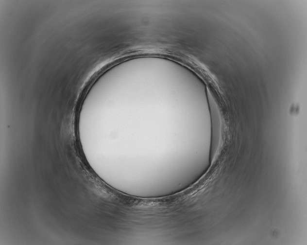 X0000096721174200802261646