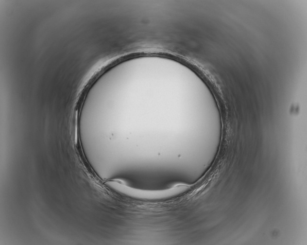 X0000096721175200802261646