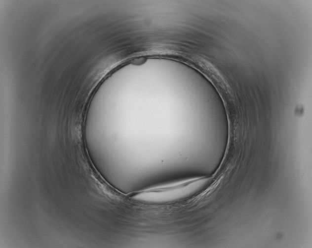 X0000096721177200802261646