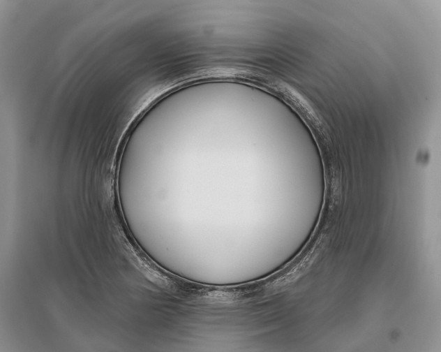 X0000096721178200802261646