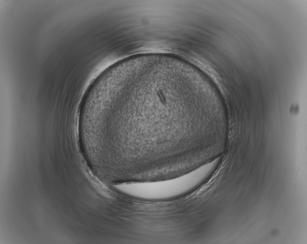 X0000096721179200802261646