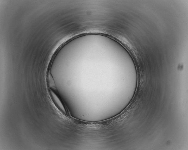 X0000096721181200802261646