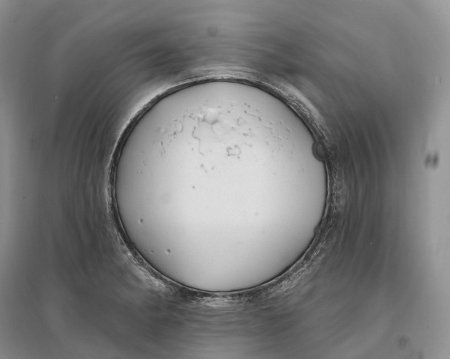 X0000096721182200802261646