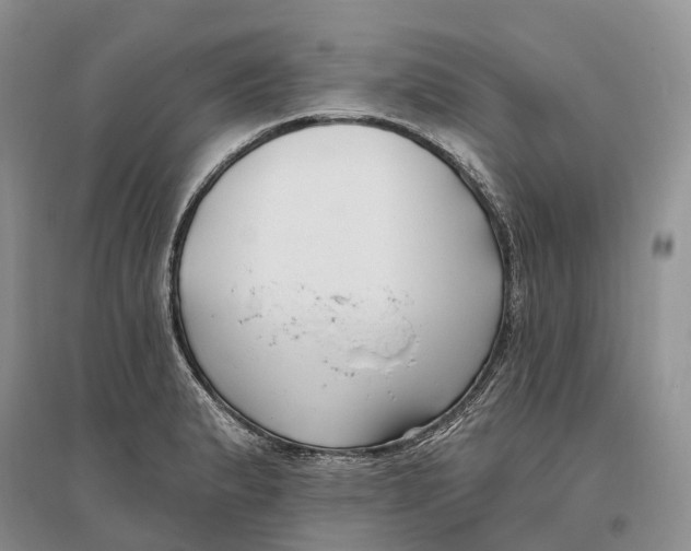 X0000096721183200802261646