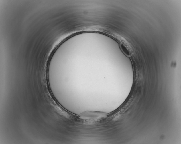 X0000096721184200802261646