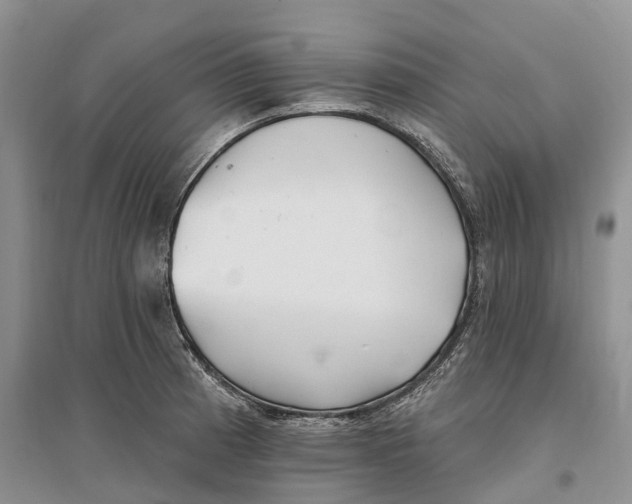 X0000096721185200802261646