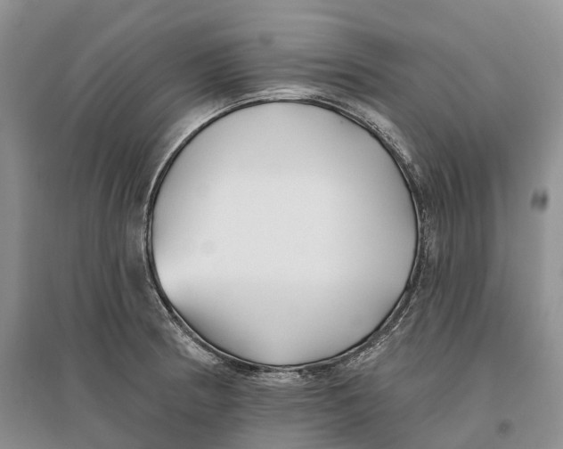 X0000096721186200802261646