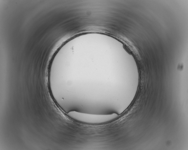 X0000096721188200802261646