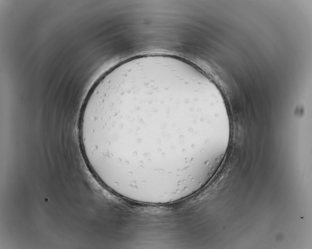 X0000096721189200802261646